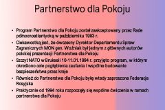 25-lat-w-NATO_0003