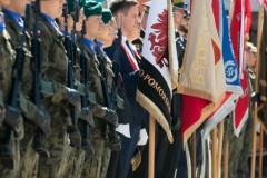 66d54ebd54cdf_o_large