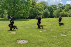 IMG_20220520_130622378_HDR