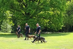 IMG_20220520_130658543