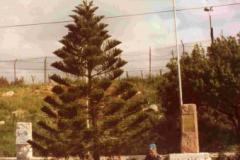 d14