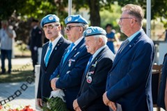 6308c3872a424_o_medium